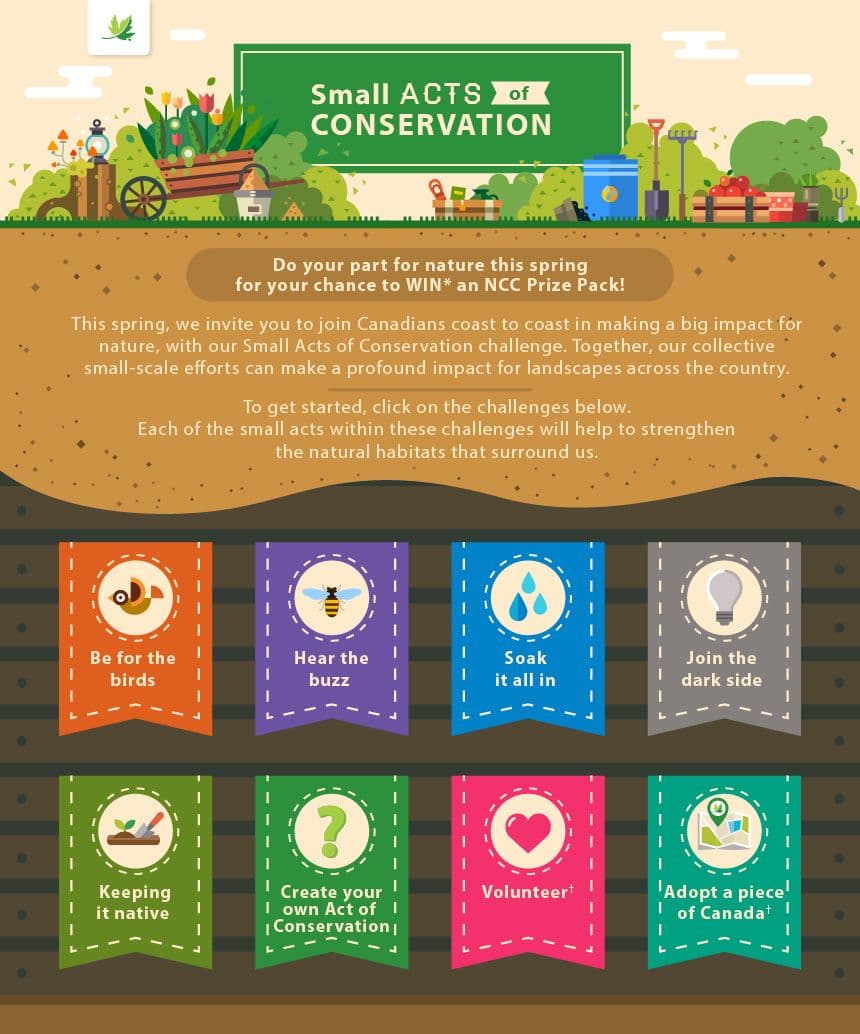 Small Acts of Conservation — A campaign site making conservation feel doable, one small act at a time.